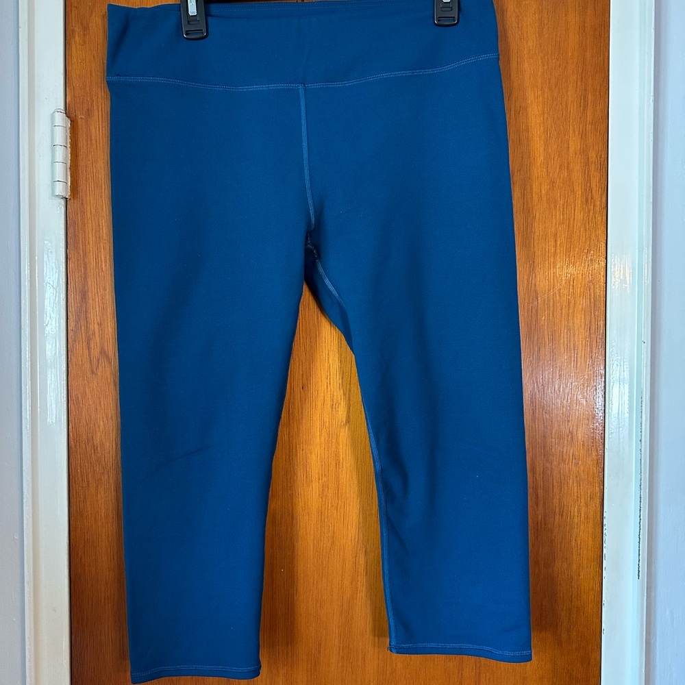 Fabletics Blue Leggings Stretchy Performance Bottoms